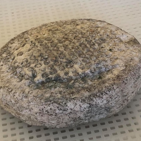 Caciottina-Morbida-di-Latte-Vaccino