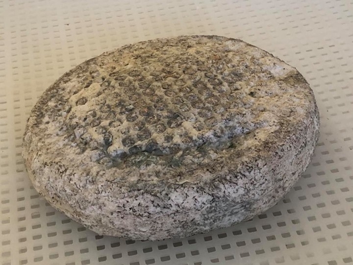 Caciottina-Morbida-di-Latte-Vaccino