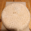 Caciottina Morbida di Vacca