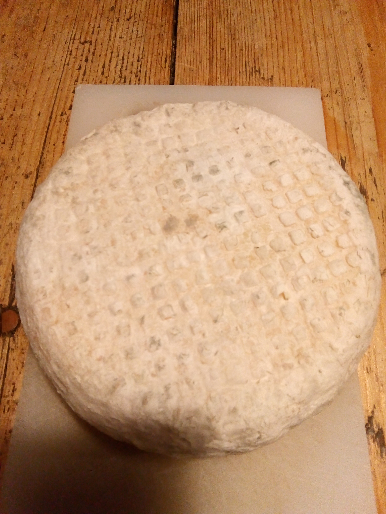 Caciottina Morbida di Vacca