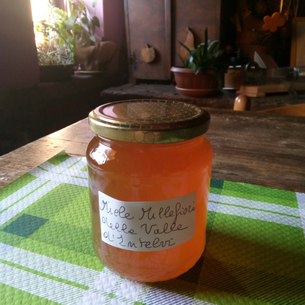 Il-Miele-Millefiori-Da-Apicoltura-Nomade