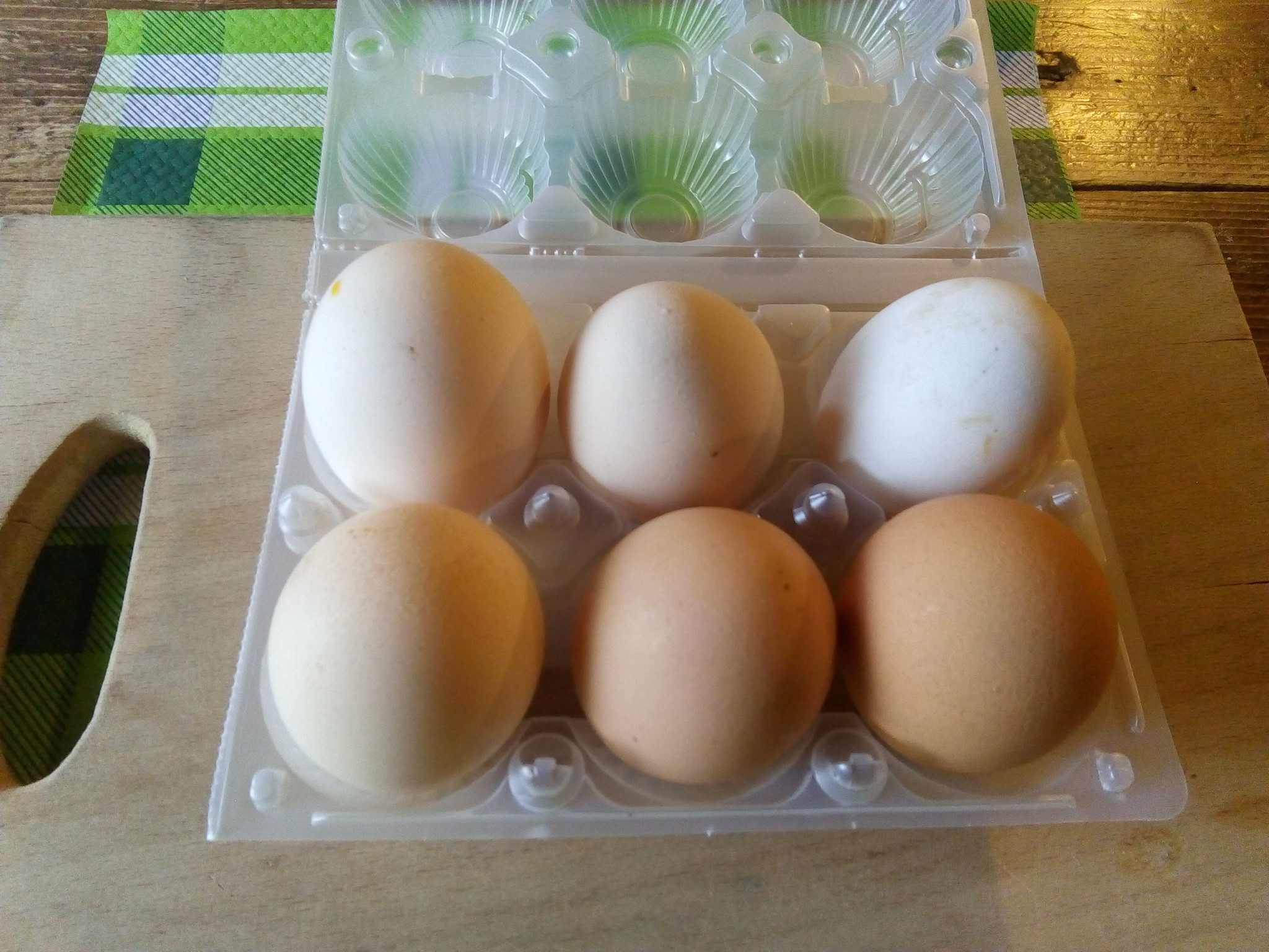 Le Nostre Uova – Da Galline Allevate a Terra