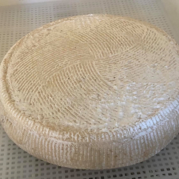 LATTICINI STAGIONATI - DA PRODUTTORI LOCALI