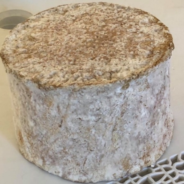 FORMAGGI CAPRINI STAGIONATI