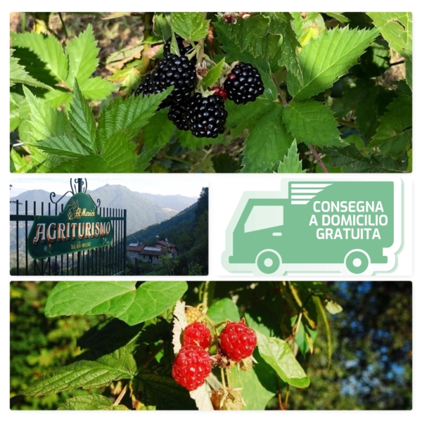Azienda Agricola Al-Marnich – More e Lamponi BIO
