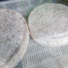 Toma Caprina - Forma Piccola Intera