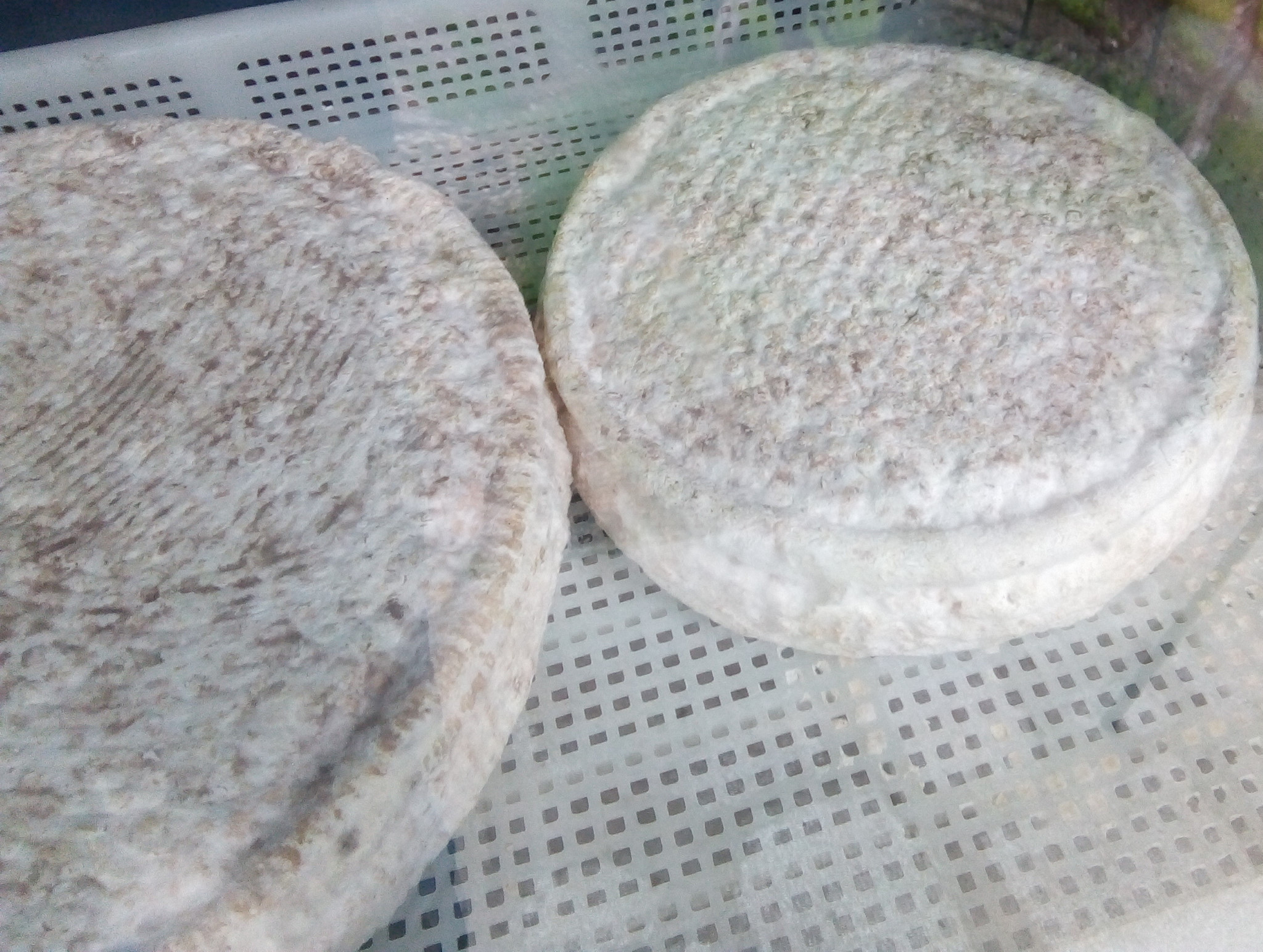 Toma Caprina – Forma Piccola Intera