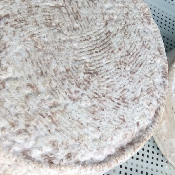 Toma di Capra – Stagionata – Forme Variabili