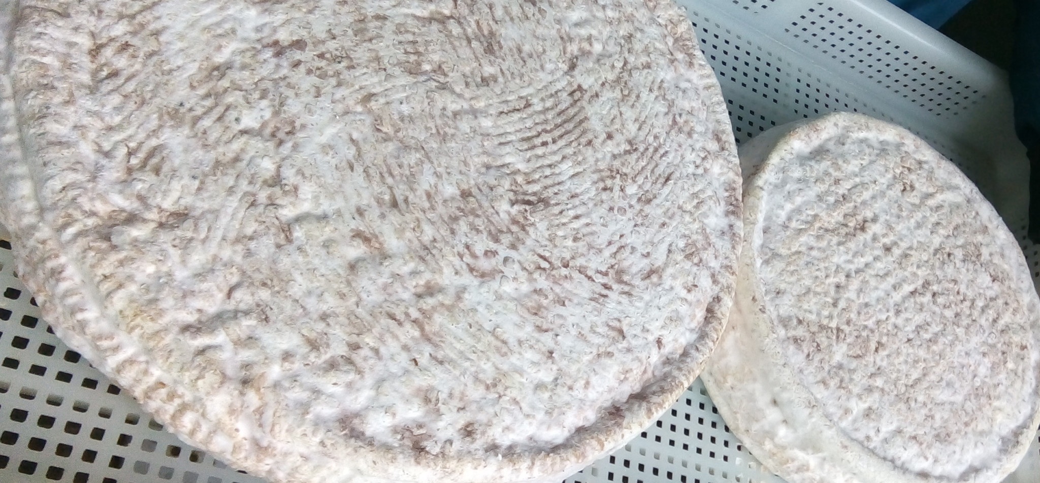 Toma di Capra – Stagionata – Forme Variabili