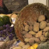 Agricoltura - Zucche e Patate BIO