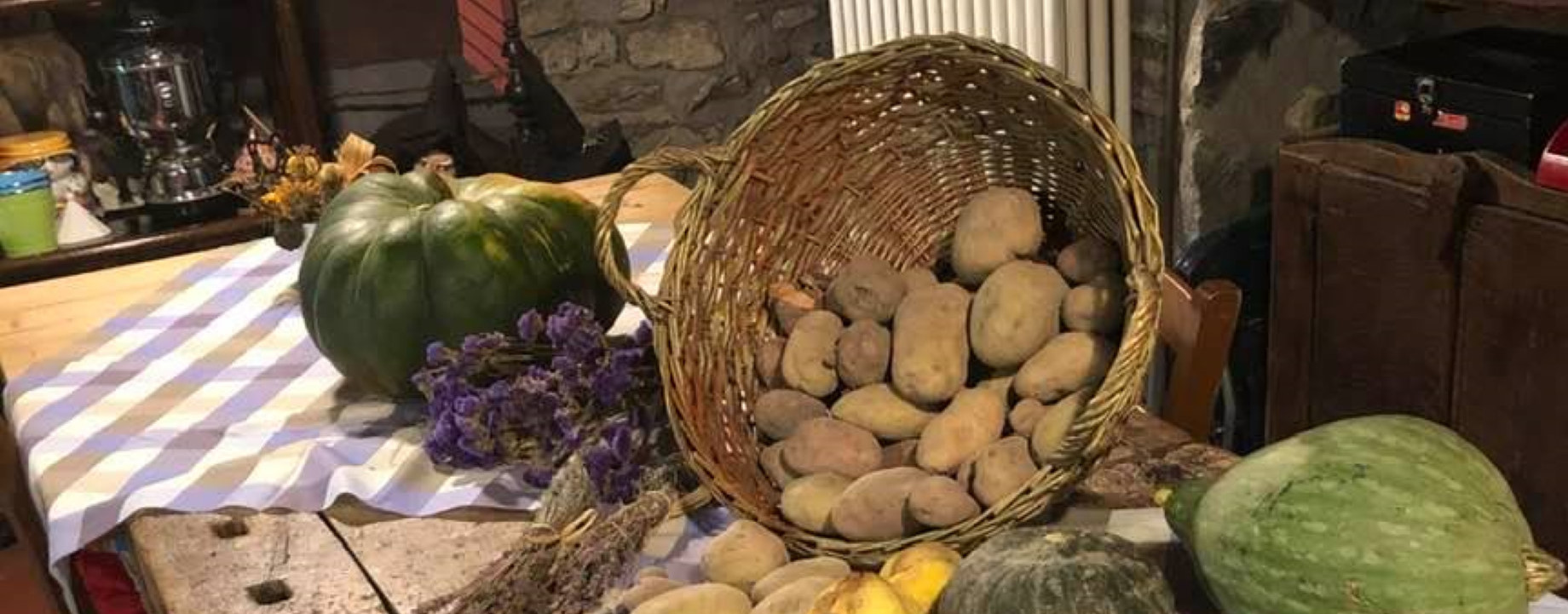 Agricoltura – Zucche e Patate BIO