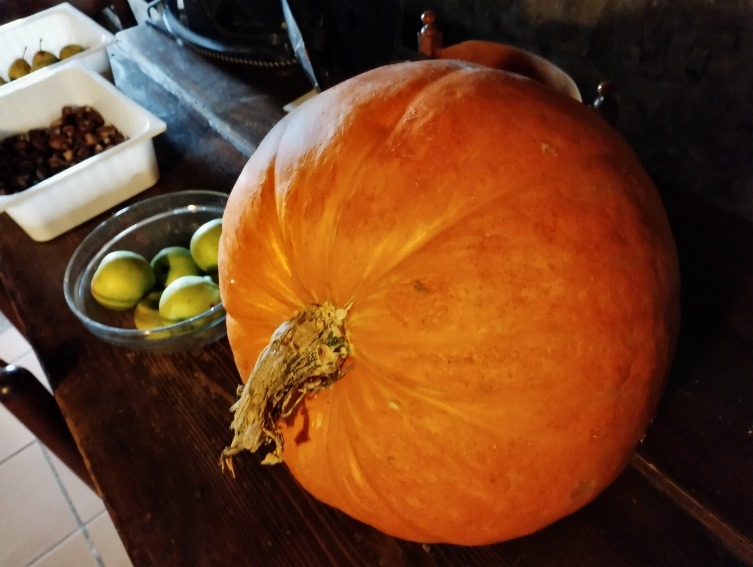 Al-Marnich – Ortaggi BIO – Zucca di Halloween