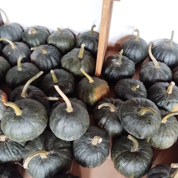 Agriturismo Al-Marnich – Zucche del Lago di Como
